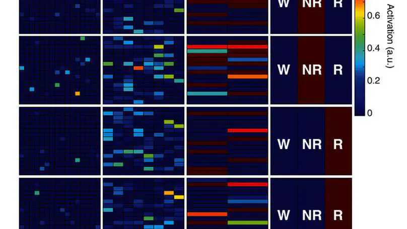 An artificial neural network for automated behavioral state classification in rats