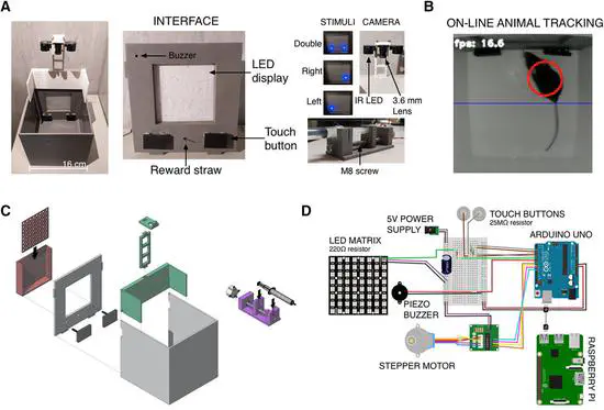 Automated Operant Conditioning