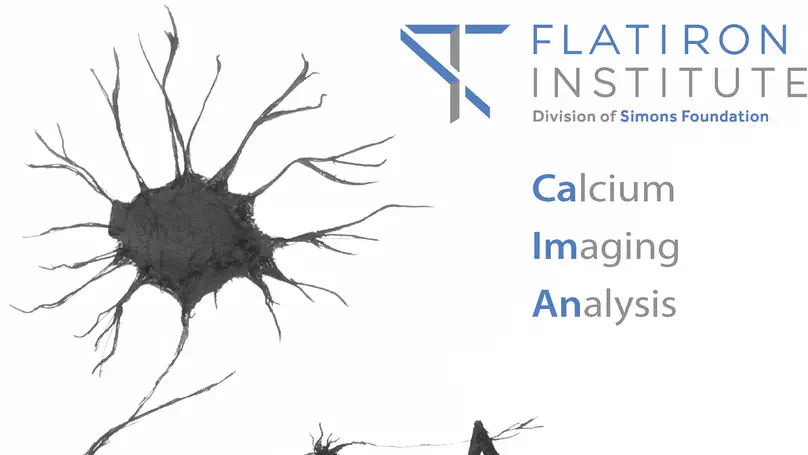 CaImAn: open source scalable algorithms for calcium and voltage imaging data