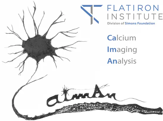 CaImAn: open source scalable algorithms for calcium and voltage imaging data