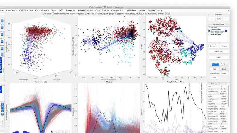 CellExplorer - Framework for analyzing single cells