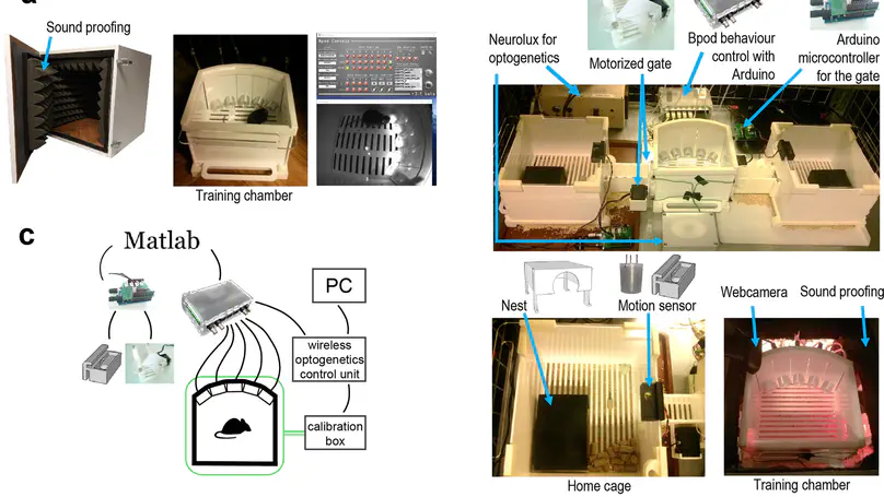 Efficient training of mice on the 5-choice serial reaction time task in an automated rodent training system