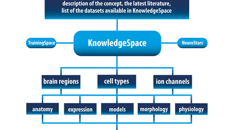 INCF KnowledgeSpace