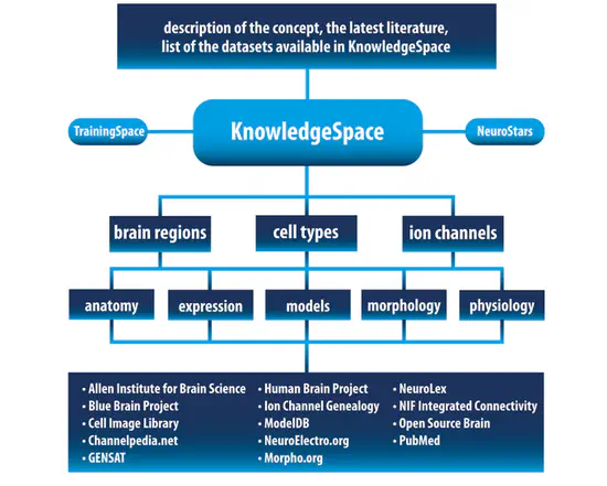 INCF KnowledgeSpace