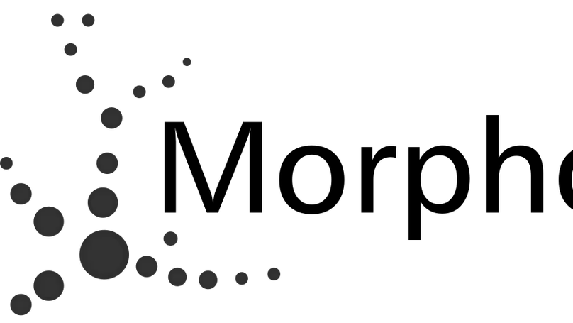 MorphoPy: A python package for feature extraction of neural morphologies
