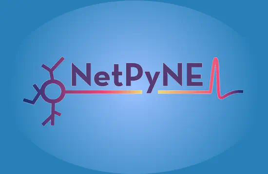 NetPyNE