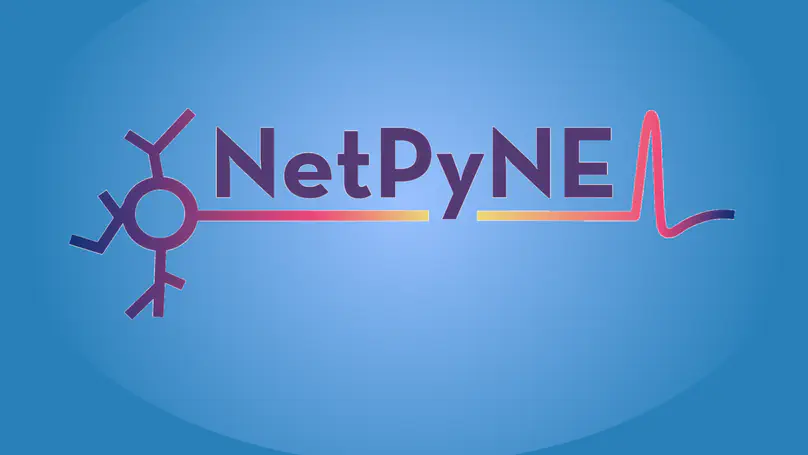 NetPyNE