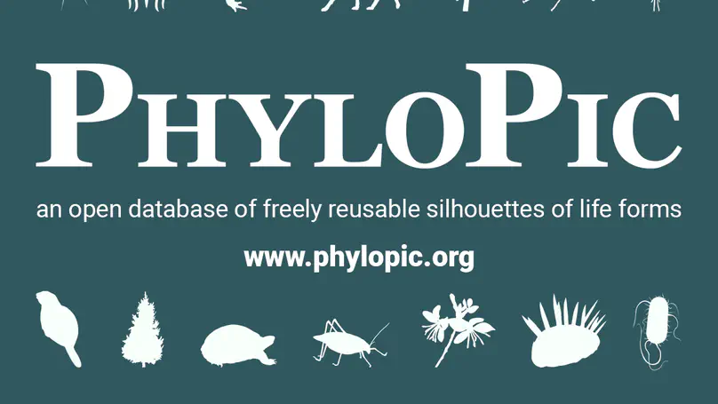 PhyloPic