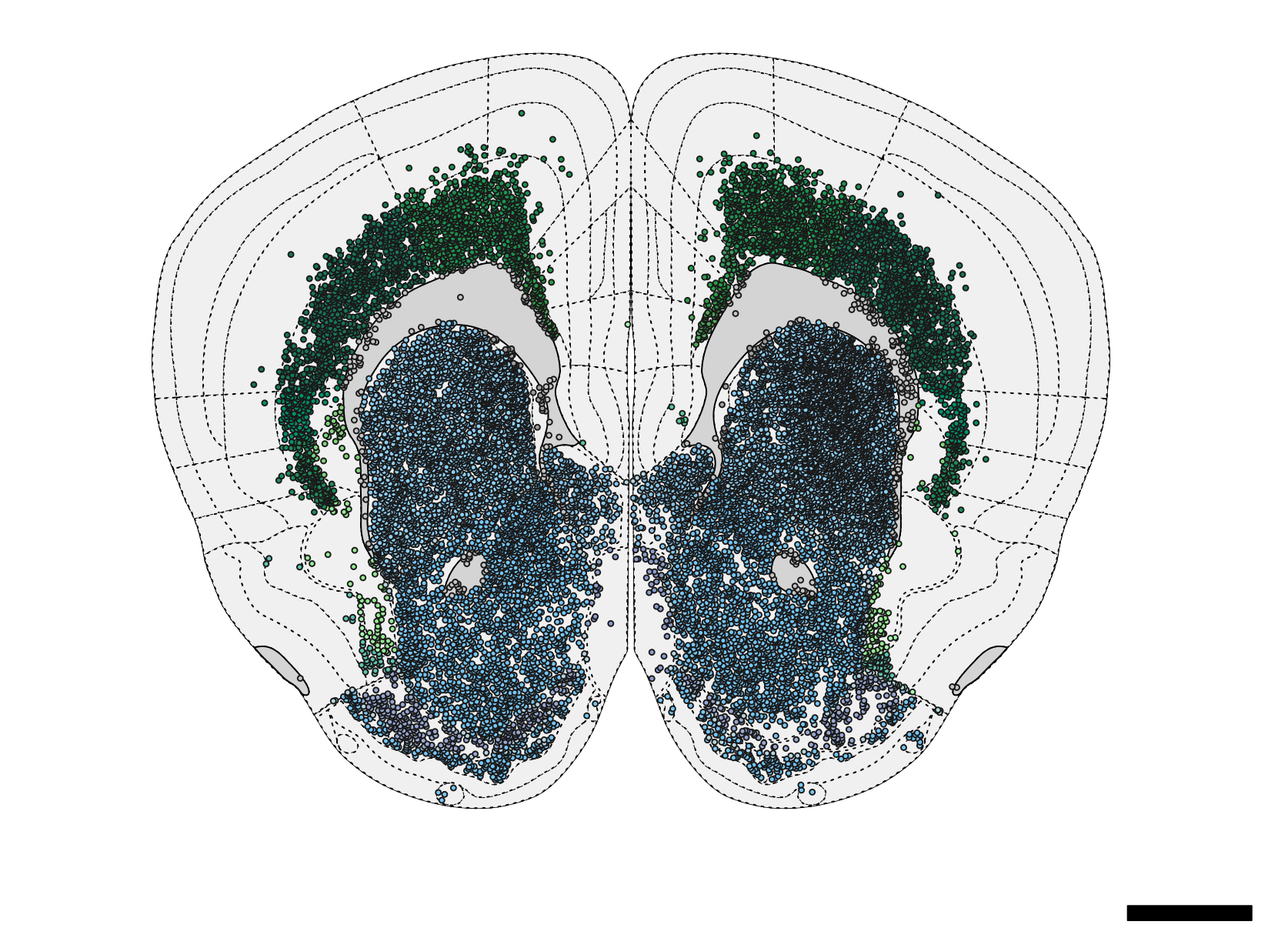 WholeBrain | Open Neuroscience