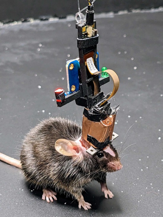 3D Printable Device for Automated Operant Conditioning in the Mouse